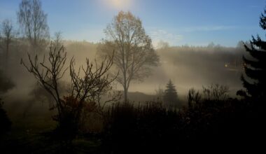Gaisa temperatūra Kurzemē sasniegusi +12 grādus; trešdien saglabāsies silts un mākoņains laiks