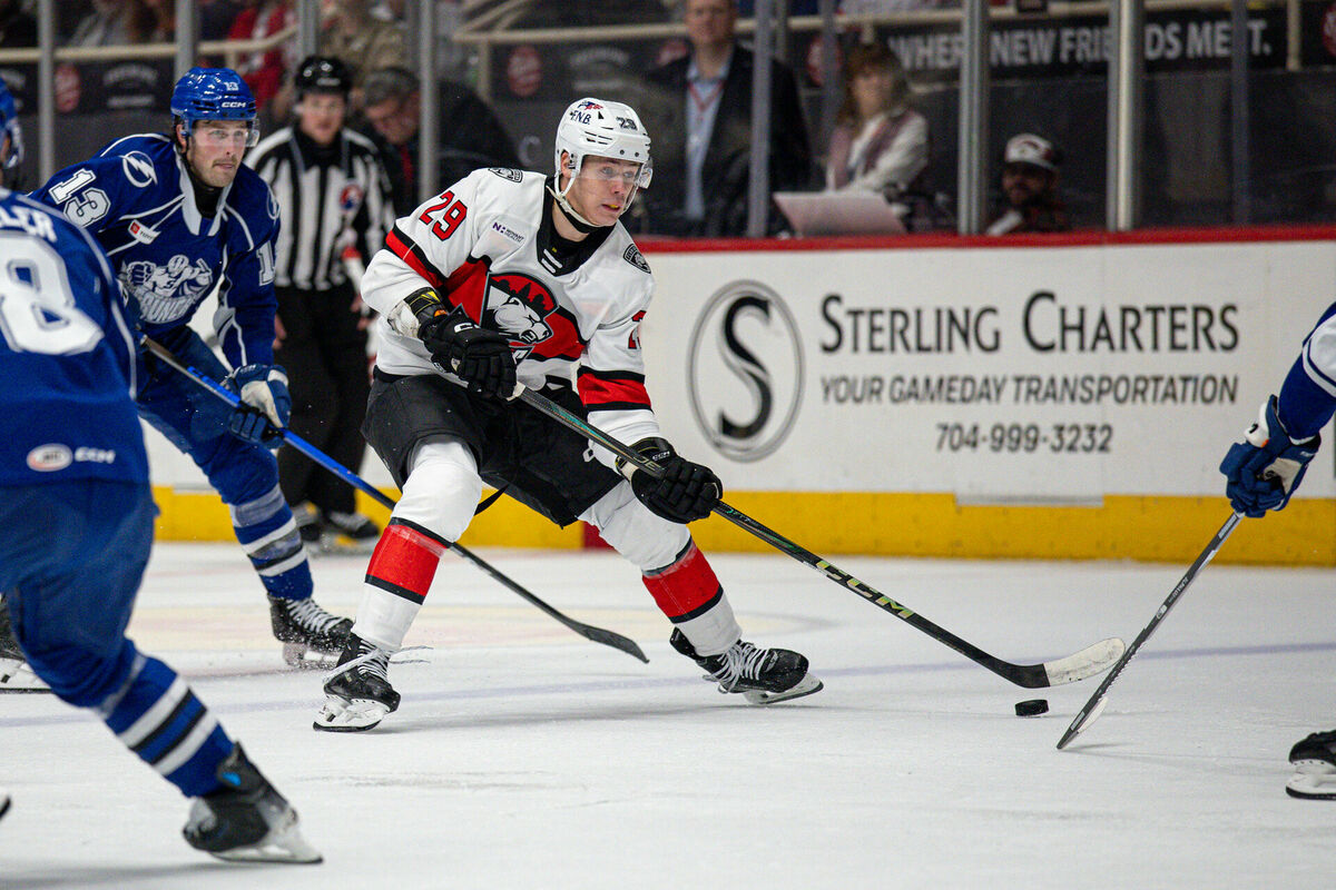 Sandis Vilmanis. Foto: Šarlotas "Checkers"