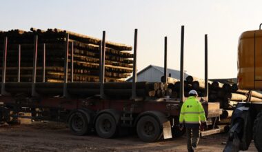 "Sadales tīkls" uzsāk koka balstu eksportu; interese arī citur Eiropā