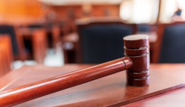 IDB rosina uzsākt kriminālvajāšanu pret Ieslodzījuma vietu pārvaldes amatpersonu par pornogrāfisku materiālu apriti, pavešanu netiklībā un seksuālām darbībām ar mazgadīgu personu