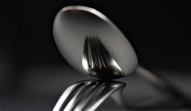 Arestē vīrieti par uzbrukuma ar dakšiņu lidojuma laikā