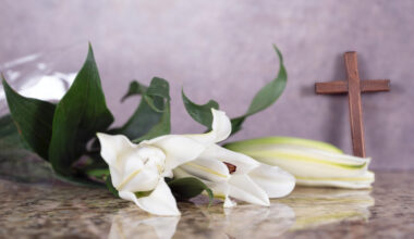 Ilmārs Dzenis – fakti un neskaidrības par nāvi Amerikā