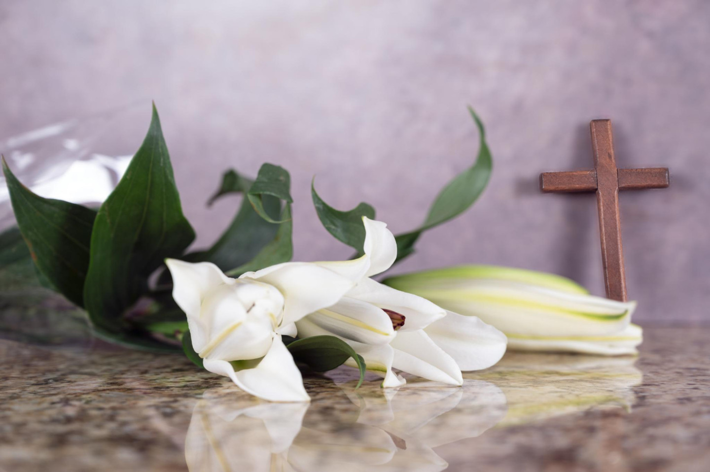 Ilmārs Dzenis – fakti un neskaidrības par nāvi Amerikā