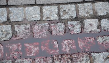 Slepkavība stacijas tunelī: Tiesa piespriež 17 gadus cietumā