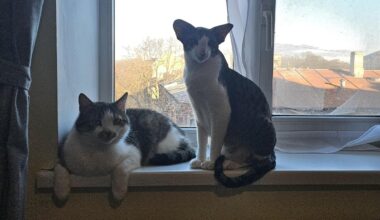 Svētdien būs mainīgs mākoņu daudzums