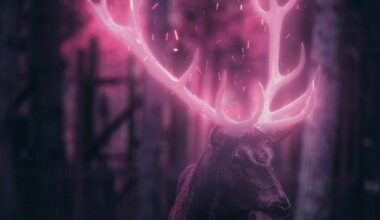 Viens svarīgs noteikums - jāieklausās savā intuīcijā: astrologs nāk klajā ar vēdisko prognozi no 24. līdz 30. novembrim