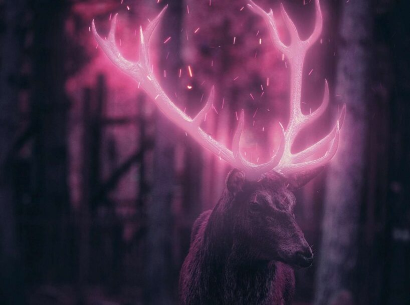 Viens svarīgs noteikums - jāieklausās savā intuīcijā: astrologs nāk klajā ar vēdisko prognozi no 24. līdz 30. novembrim