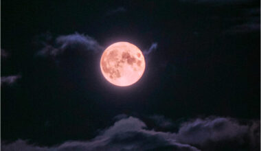 viens no spožākajiem un iespaidīgākajiem šajā gadā