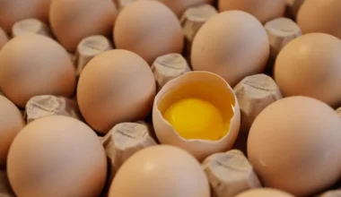 Latvijas "Agrova International" par 40 miljoniem eiro iegādājas Lielbritānijas olu ražotāju "Sunrise Group"