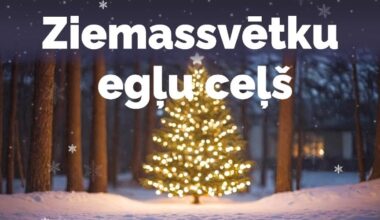 Sagaidot Pirmo adventi, Kārķos atklās Ziemassvētku egļu ceļu