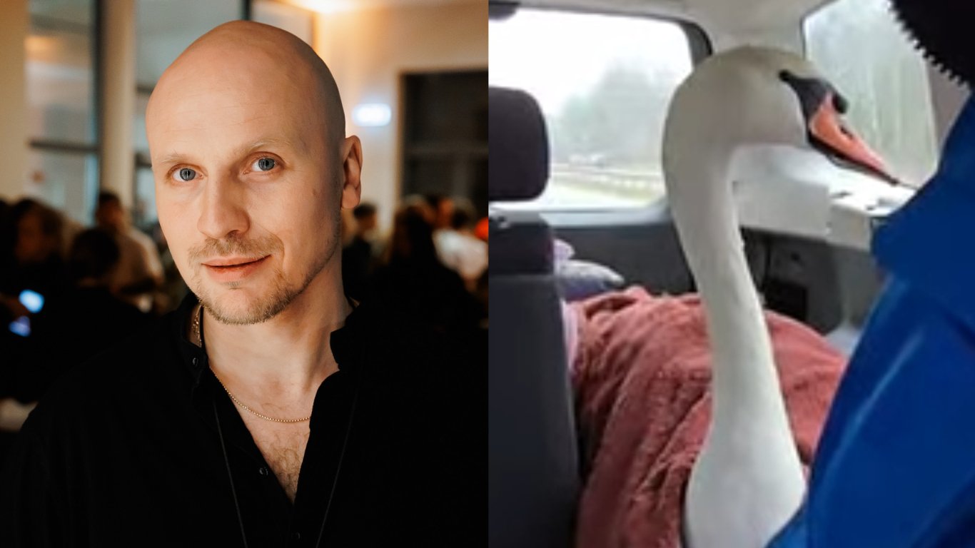 Aktieris pēc pirmizrādes metas glābt uz Akmens tilta nokritušu gulbi — Santa