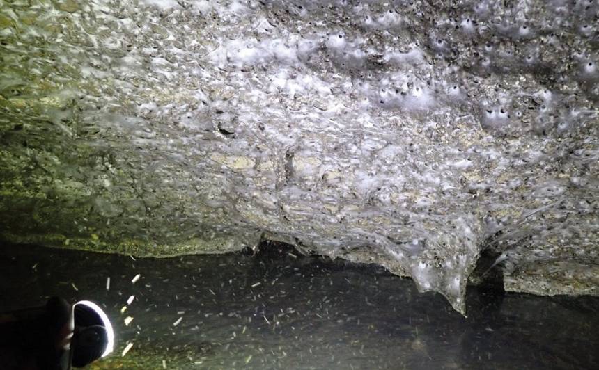 Grieķijas alā zinātnieki atrod lielāko zirnekļu tīklu pasaulē. Tāds iepriekš nekad nebija redzēts! — Santa