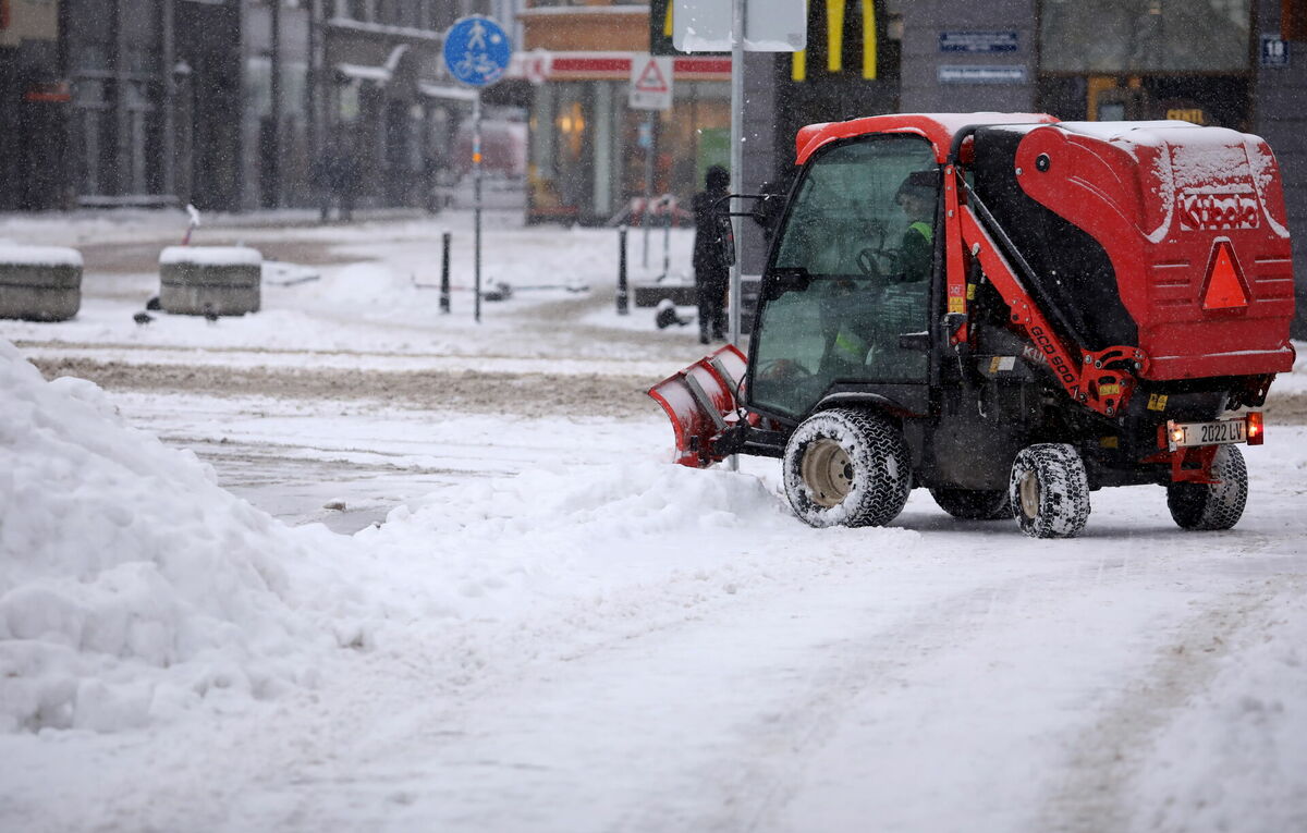 Foto: Paula Čurkste/LETA Foto: Paula Čurkste/LETA