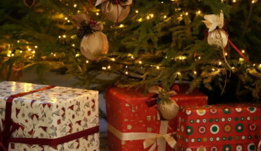 Foto: Edijs Pālens/LETA