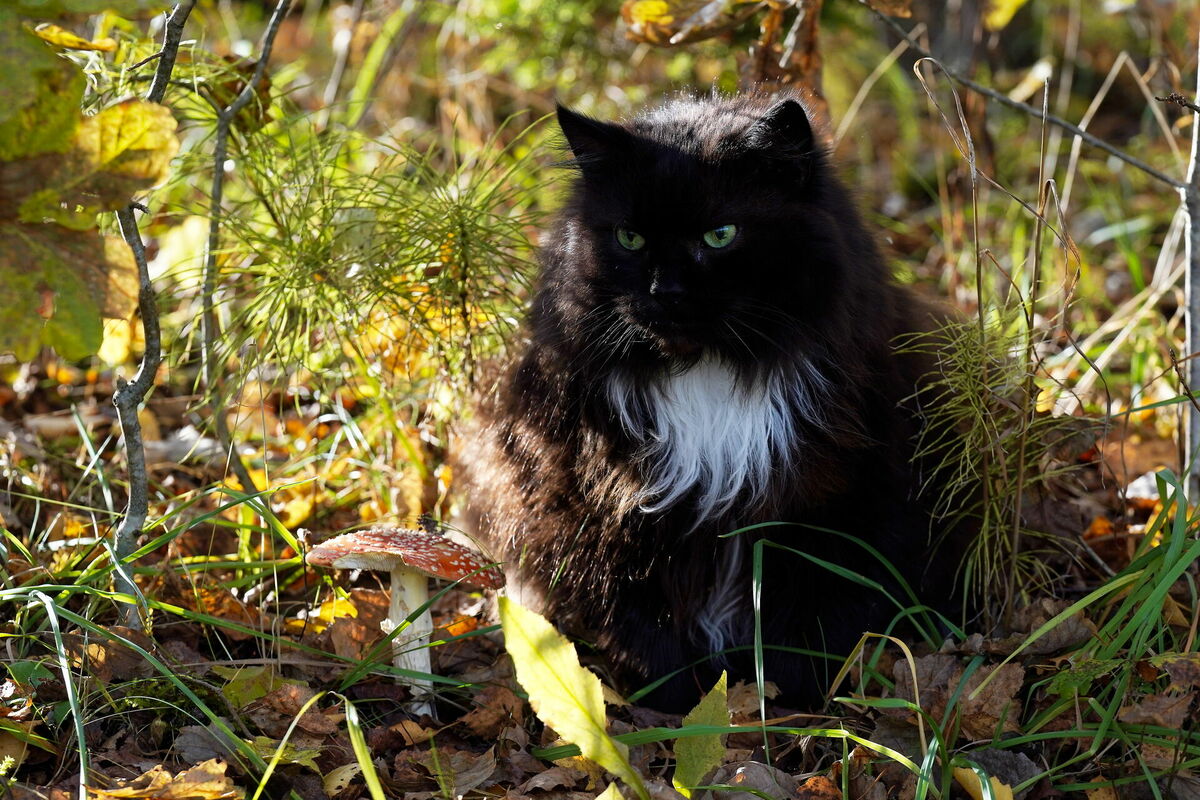 Foto: Evija Trifanova/LETA Foto: Evija Trifanova/LETA