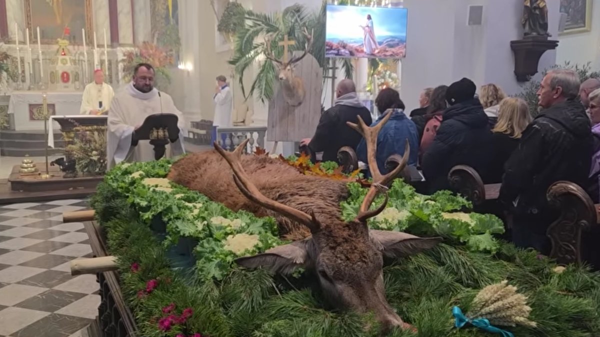 Svaigi nomedīts briedis pie altāra – mednieku svētki Skaistkalnē raisa asas diskusijas