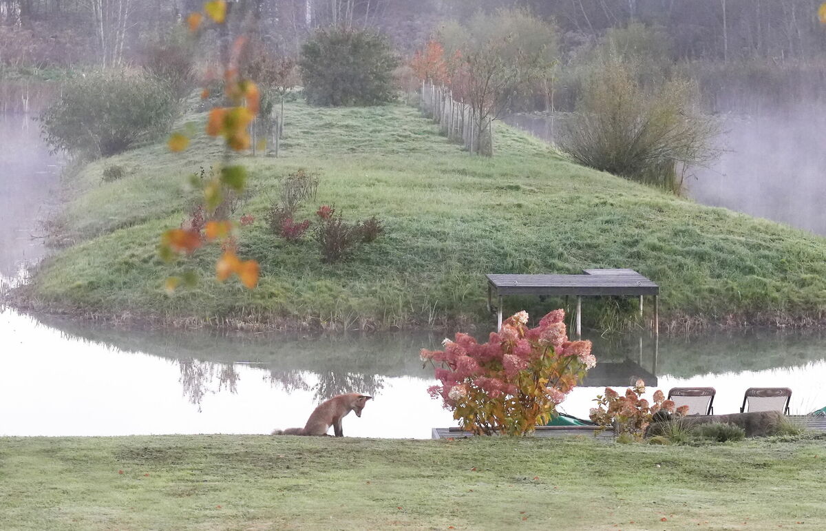 Foto: Evija Trifanova/LETA Foto: Evija Trifanova/LETA