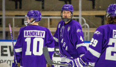 Rolovs Latvijas valstsvienības hokejista komandai palīdz turpināt uzvaru virkni – Hokejs – Sportacentrs.com