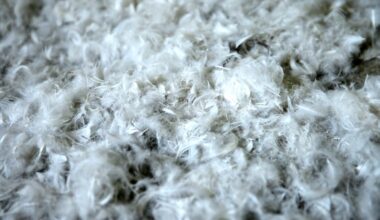 Mājputnu novietnē Durbes pagastā konstatē putnu gripas uzliesmojumu