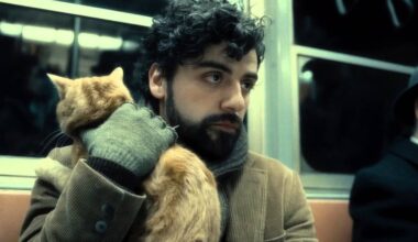 "Splendid Palace" būs skatāma "Straumes" komandas veidota kaķu filmu izlase