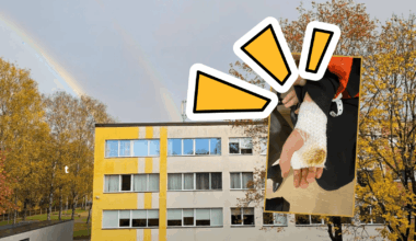 “Manu dēlu cits bērns sagrieza ar nazi.” Tēvs meklē aculieciniekus satraucošam incidentam Imantā