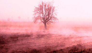 Dabas zīmju vērotājs Vilis Bukšs nosaucis dienu, kad Latvijā būs -10 grādi un pirmais noturīgais sniegs