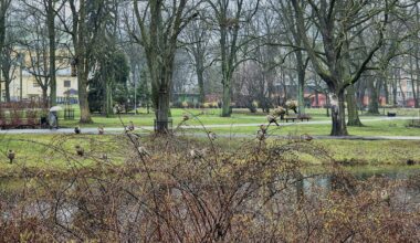 Visu nedēļu laiks būs silts, bet lielākoties apmācies / Raksts