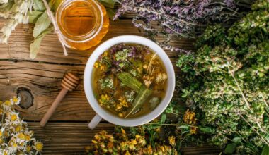 Veids, kā sasildīties un nomierināties. Kāpēc rudens vakaros dzert zāļu tējas / Raksts