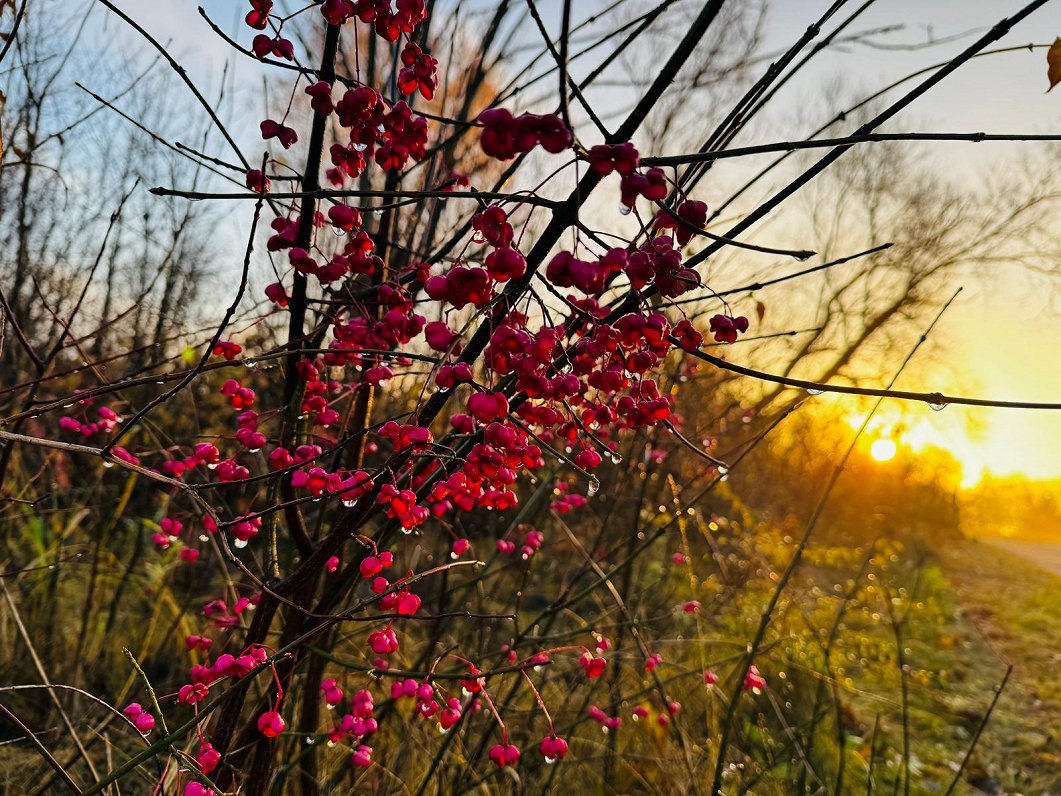 Trešdien Latvijā uzspīdēs saule / Raksts