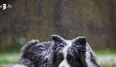 Latvijai tuvojas aukstā atmosfēras fronte – būs gan lietus, gan sniegs