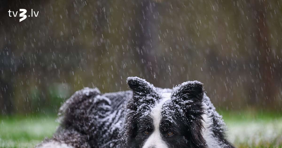 Latvijai tuvojas aukstā atmosfēras fronte – būs gan lietus, gan sniegs