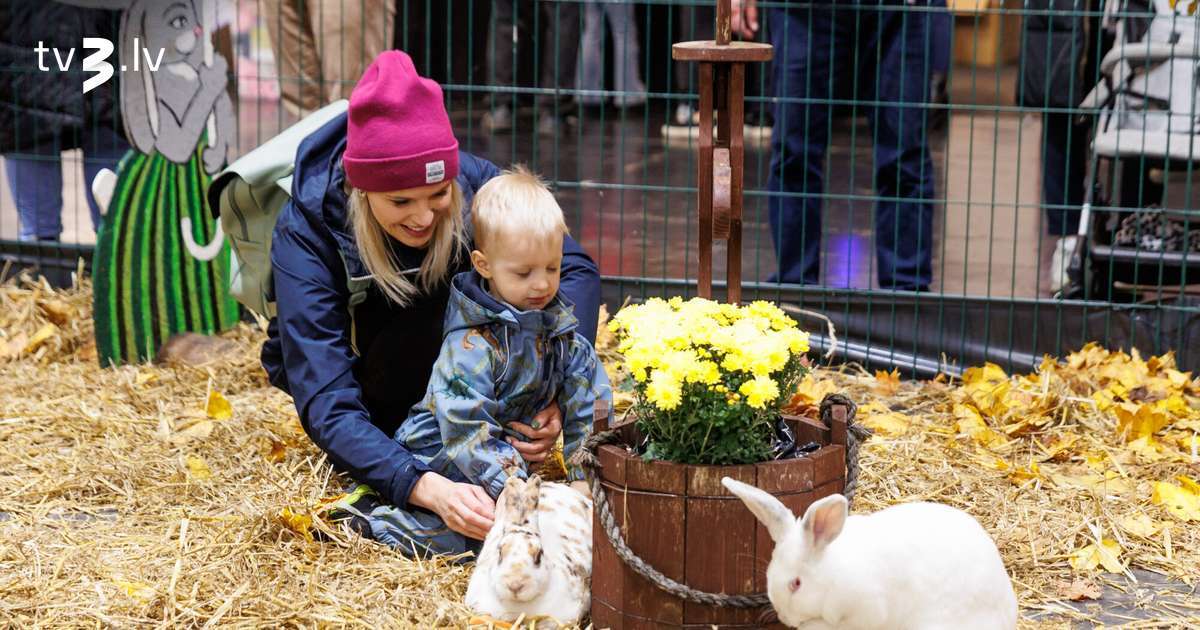 Satiec cilvēka labākos draugus un atpūties kopā ar ģimeni izstādē “ZooExpo”