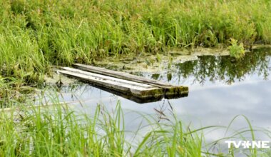 Nepieskatīja pie ūdens. Rosina apsūdzēt policistu par bērna nonāvēšanu aiz neuzmanības