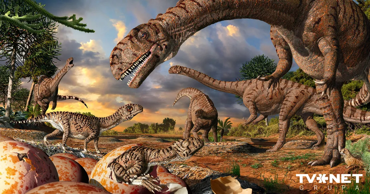 FOTO UN VIDEO ⟩ Itālijas kalnā atrasti tūkstošiem dinozauru pēdu nospiedumu