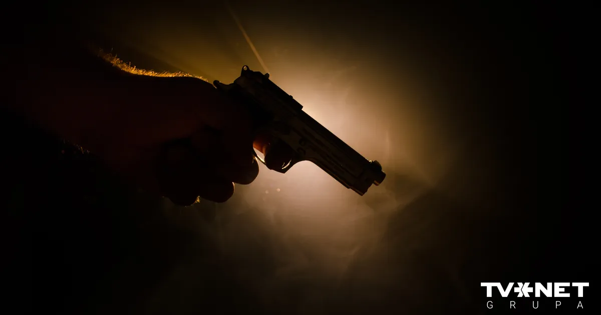 Žurnāls: februārī Pļavniekos atrasti divi zēni ar šautām brūcēm galvā