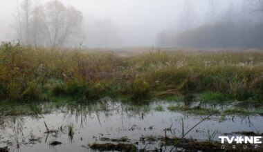 Traģēdija Ziemassvētkos Anglijā. Divgadīgs bērns noslīkst dīķī