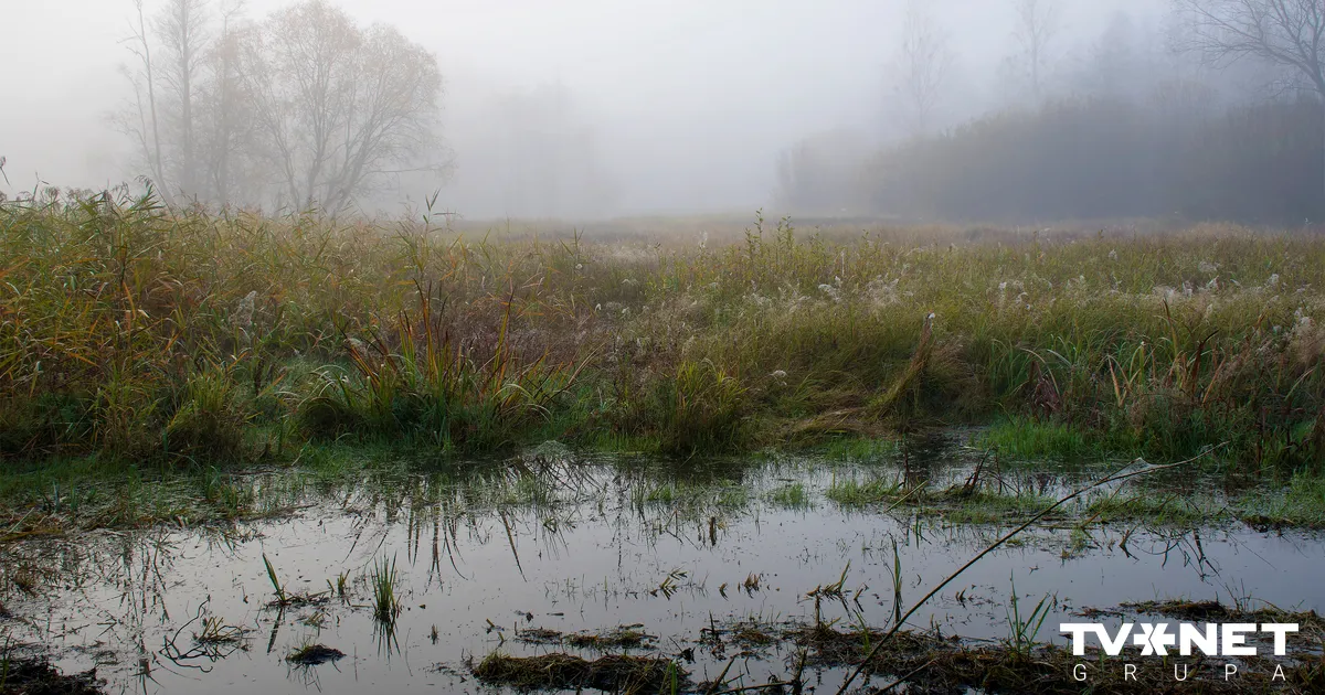 Traģēdija Ziemassvētkos Anglijā. Divgadīgs bērns noslīkst dīķī