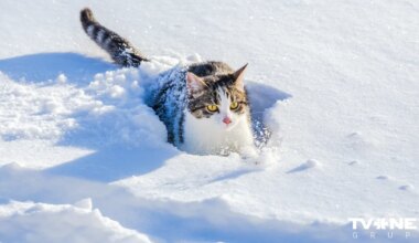 Sinoptiķu laika prognoze Jaungada naktij un svētku brīvdienām