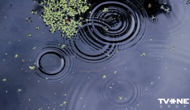 lietu pret māti sāks iztiesāt pavasarī