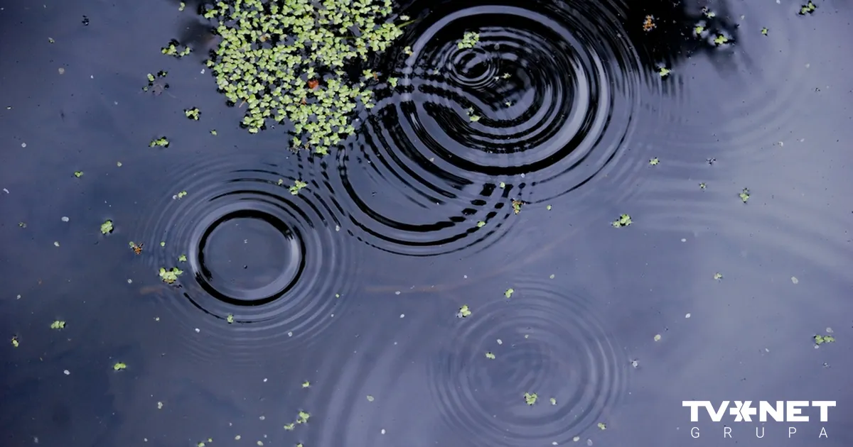 lietu pret māti sāks iztiesāt pavasarī