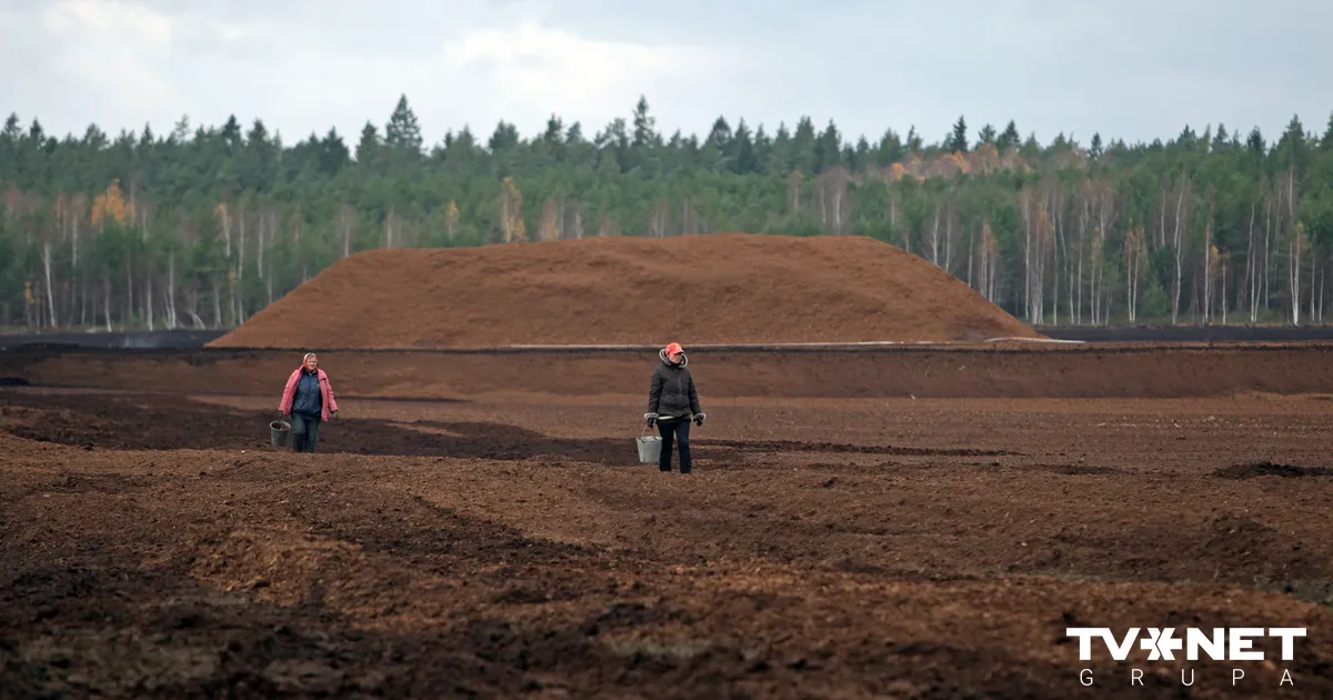 Dabas resursu nodokļa likmi kūdrai no 2027. gada palielinās piecas reizes