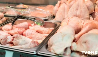 Polijas izcelsmes atkaulotās cāļu kājās PVD konstatējis salmonellas