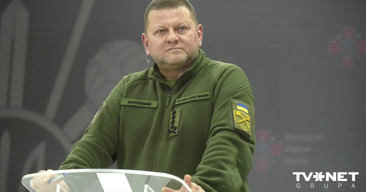 Zalužnijs izteicis vēlmi atstāt vēstnieka amatu