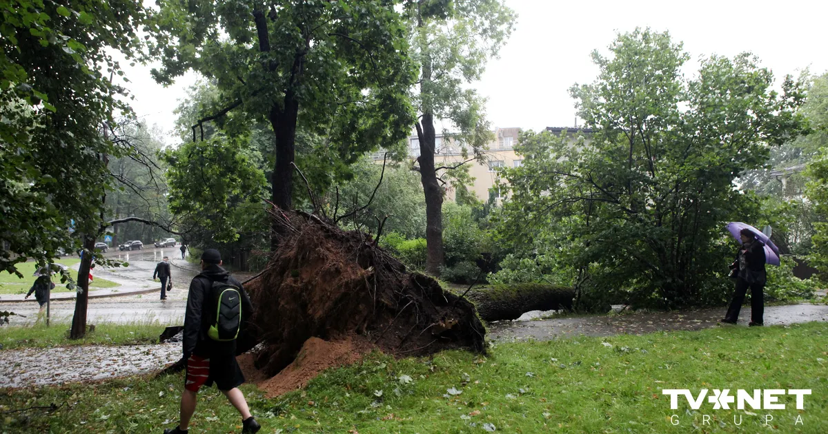 Oranžais brīdinājums! Rīgā gaidāma vētra; rīdzinieki aicināti neapmeklēt parkus un kapsētas