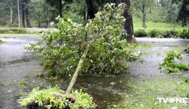 Vētra nodarījusi plašus postījumus; VUGD iesaistās seku likvidēšanā