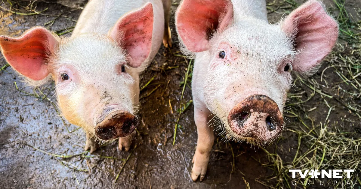 Veiktas izmaiņas ĀCM zonu sadalījumā