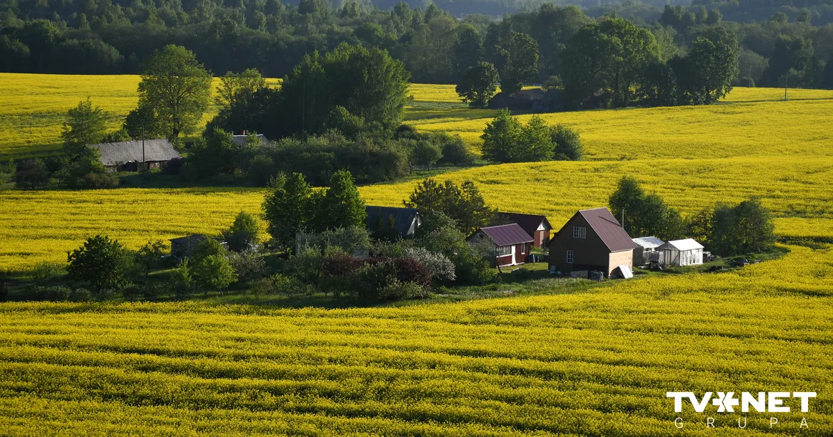 VIDEO ⟩ "Jārada sajūta, ka lepojos ar savu vietu." Kā kopienām izdodas uzlabot dzīvi reģionos?
