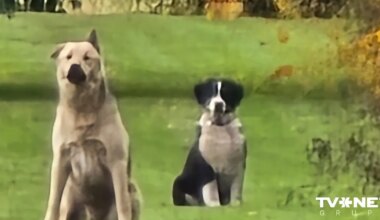 Valsts policija rosina apsūdzēt četras personas