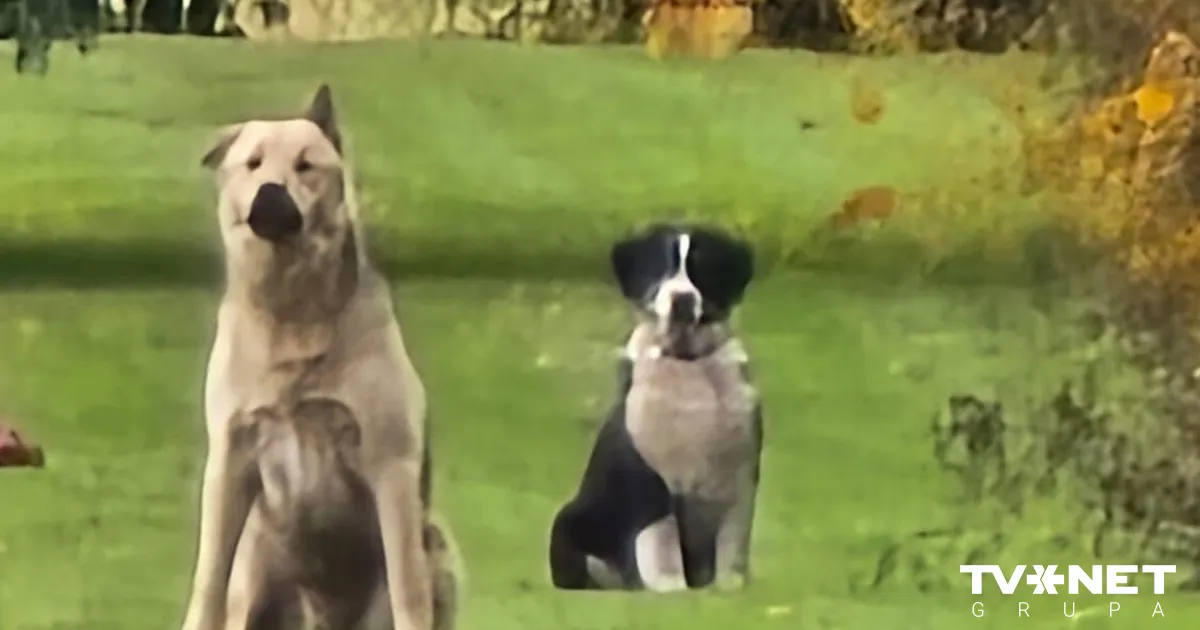 Valsts policija rosina apsūdzēt četras personas