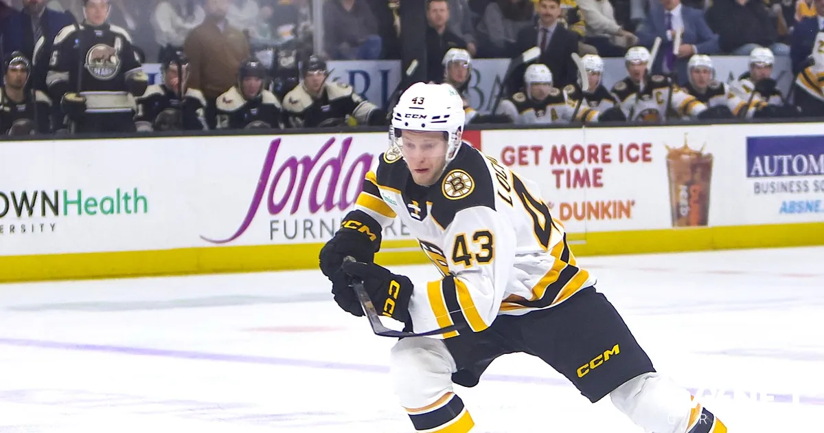 VIDEO ⟩ Ločmelis gūst vārtus AHL mačā un izcīna uzvaru